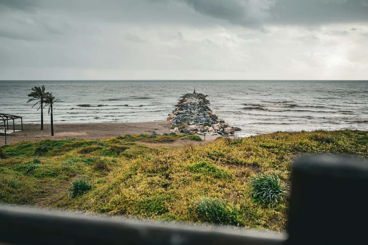Palm trees and a rocky breakwater on the beach at Cabopino in winter, under a cloudy sky