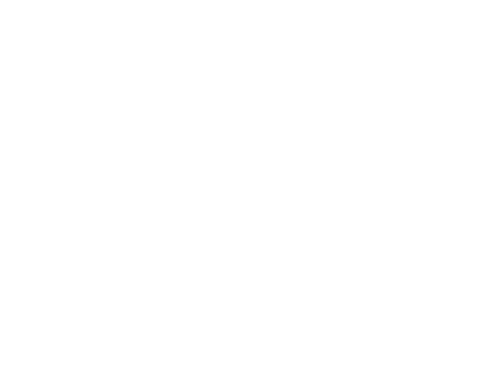 Caribasol since 1986